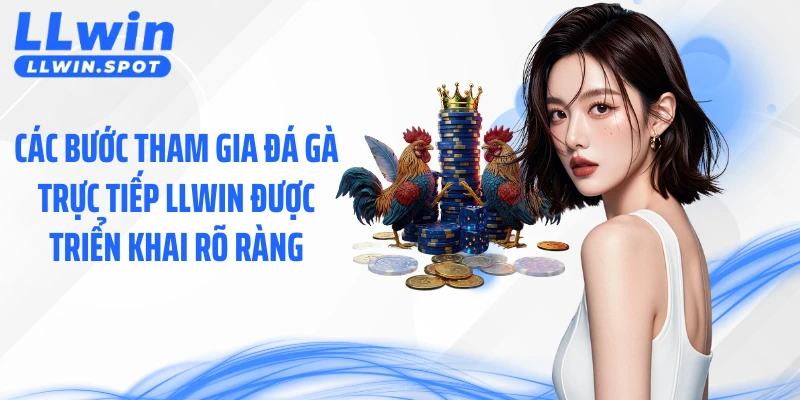 Các bước tham gia đá gà trực tiếp LLWIN được triển khai rõ ràng