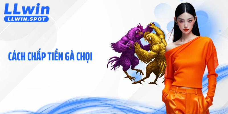 Cách Chấp Tiền Gà Chọi - Tư Duy Đọc Kèo Chuẩn Xác Cùng LLWIN