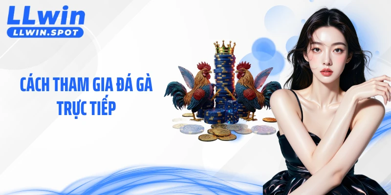 Cách Tham Gia Đá Gà Trực Tiếp Trên LLWIN Rõ Ràng, Dễ Áp Dụng