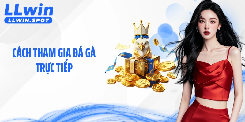 Cách Tham Gia Đá Gà Trực Tiếp Dành Cho Người Mới Tìm Hiểu