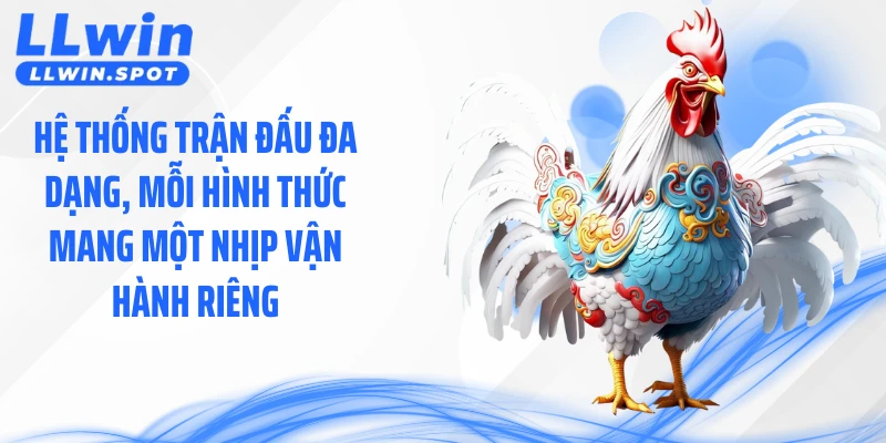 Hệ thống trận đấu đa dạng, mỗi hình thức mang một nhịp vận hành riêng