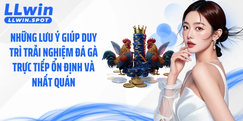 Những lưu ý giúp duy trì trải nghiệm đá gà trực tiếp ổn định và nhất quán