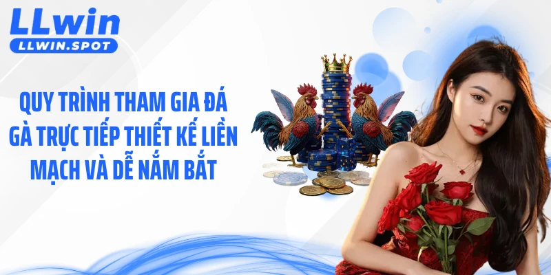 Quy trình tham gia đá gà trực tiếp thiết kế liền mạch và dễ nắm bắt